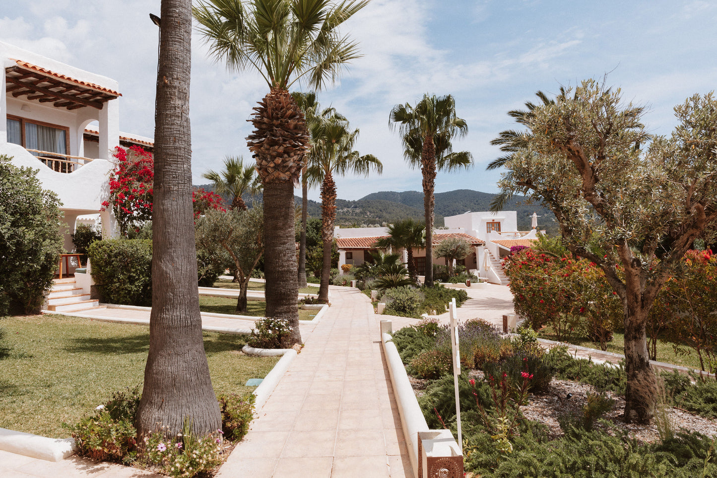 Ibiza - The Curated Collection