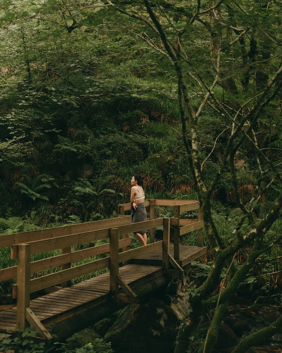 Cornwall - The Curated Collection