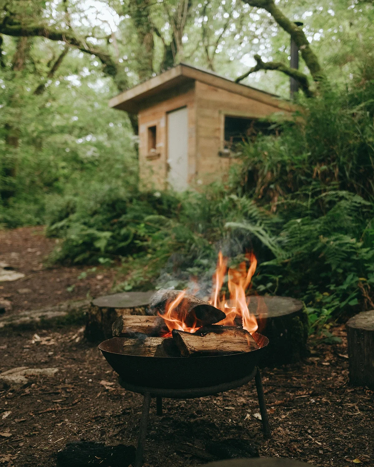 Cornwall - Full Immersion (All inclusive)