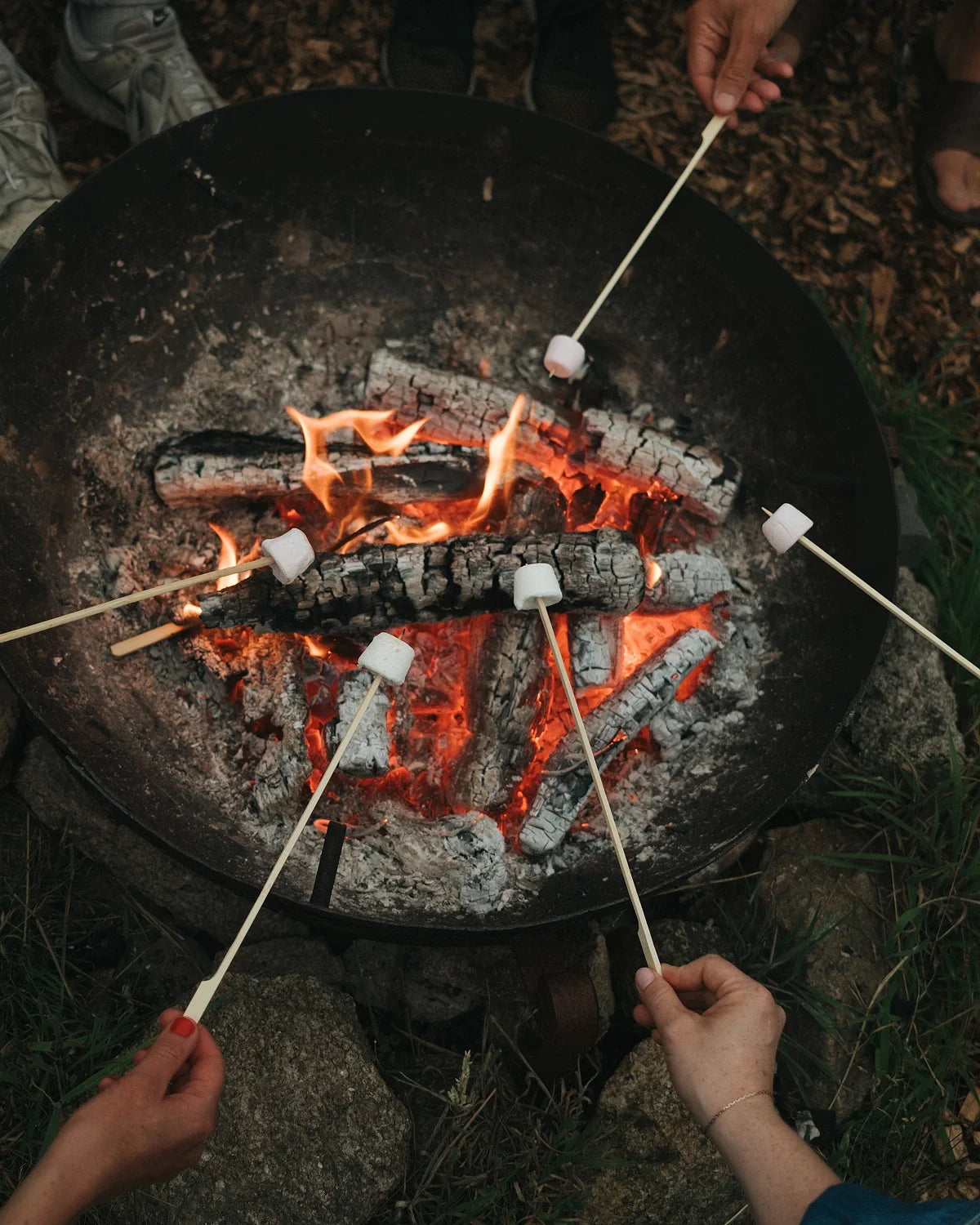 Cornwall - Full Immersion (All inclusive)