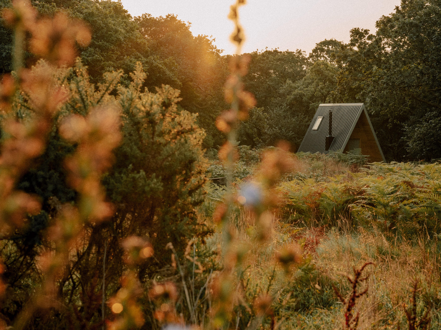 Cornwall - The Essential Pass
