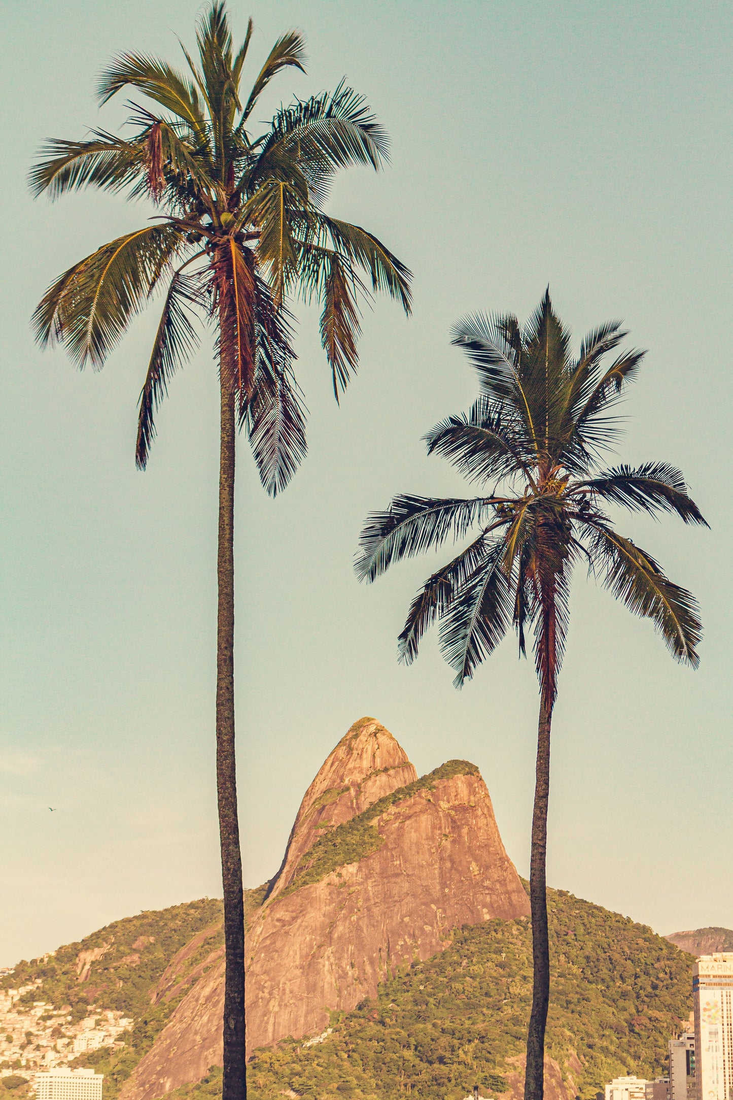 Rio de Janeiro - Full Immersion (All inclusive)